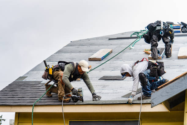 Professional Roof Repair technician working in Taunton, MA